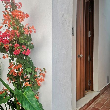 Erizo 3 Loft Diafano En El Centro Historico Leilighet Tarifa Eksteriør bilde
